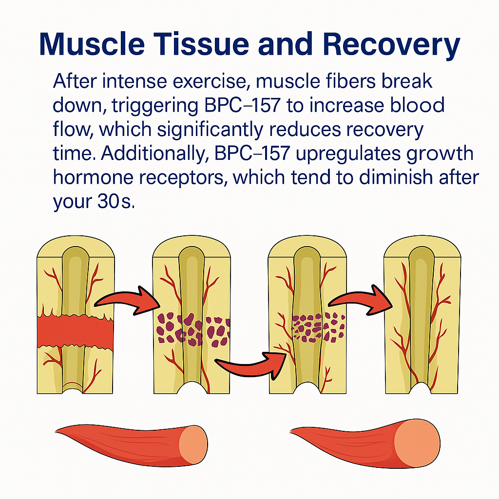 WellnessMD BPC 157
